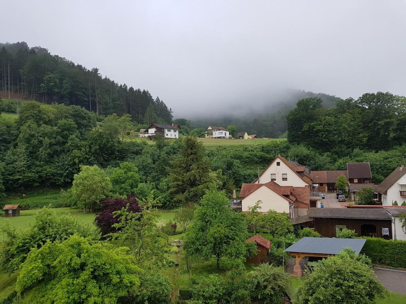 Schönau Landhotel Zur Wegelnburg מראה חיצוני תמונה